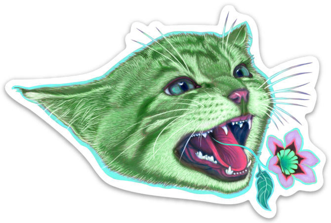 Here Kitty Kitty, Green Sticker